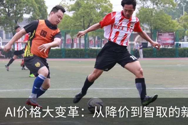 AI价格大变革：从降价到智取的新时代